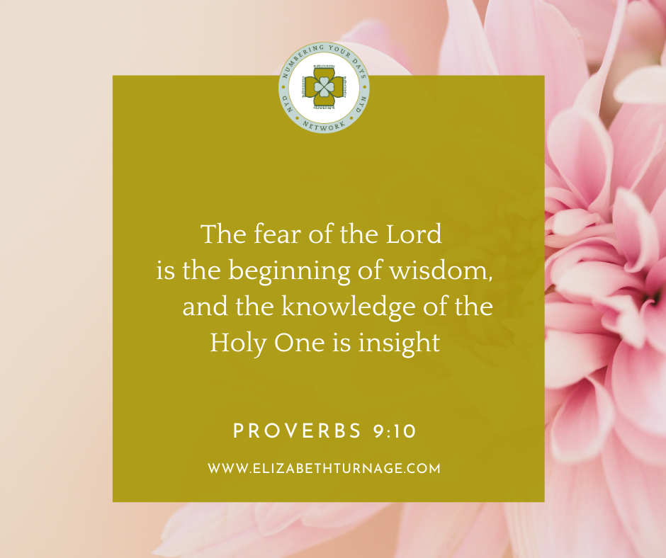 The fear of the Lord is the beginning of wisdom, and the knowledge of the Holy One is insight. Proverbs 9:10