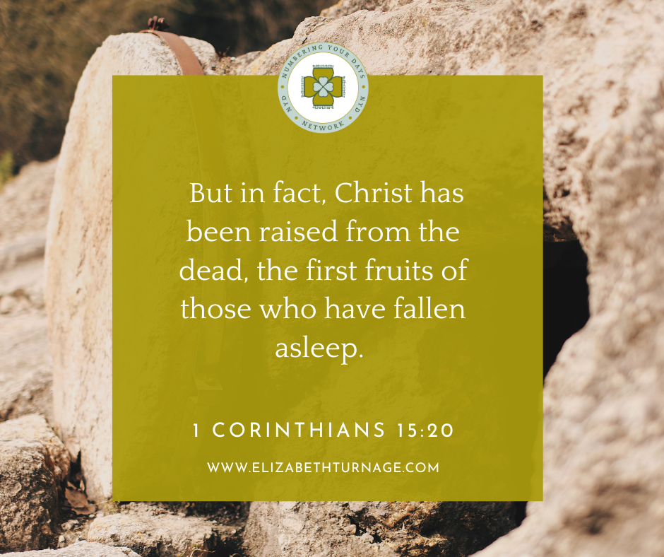 But in fact, Christ has been raised from the dead, the first fruits of those who have fallen asleep. 1 Corinthians 15:20