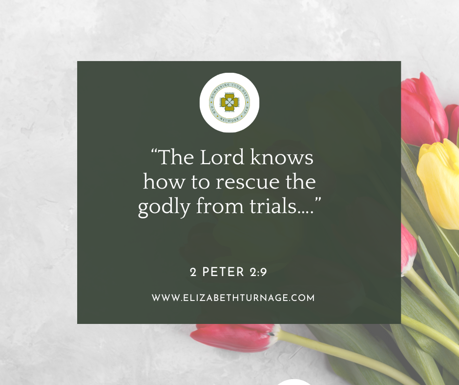 The Lord knows how to rescue the godly from trials…. 2 Peter 2:9