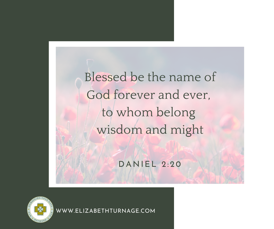 Blessed be the name of God forever and ever, to whom belong wisdom and might. Daniel 2:20