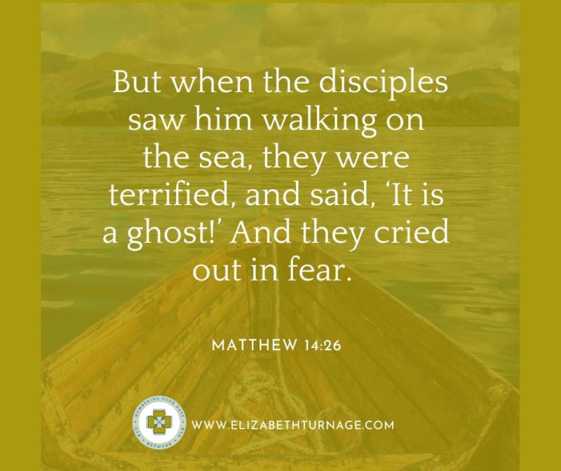 But when the disciples saw him walking on the sea, they were terrified, and said, ‘It is a ghost!’ And they cried out in fear. Matthew 14:26