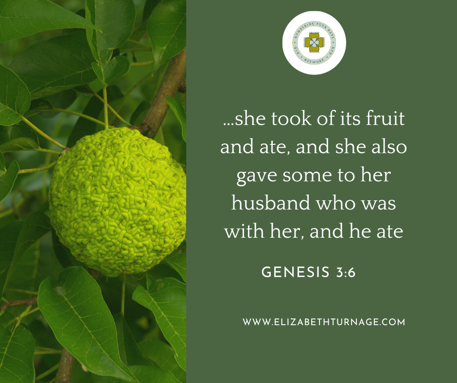 …she took of its fruit and ate, and she also gave some to her husband who was with her, and he ate. Genesis 3:6