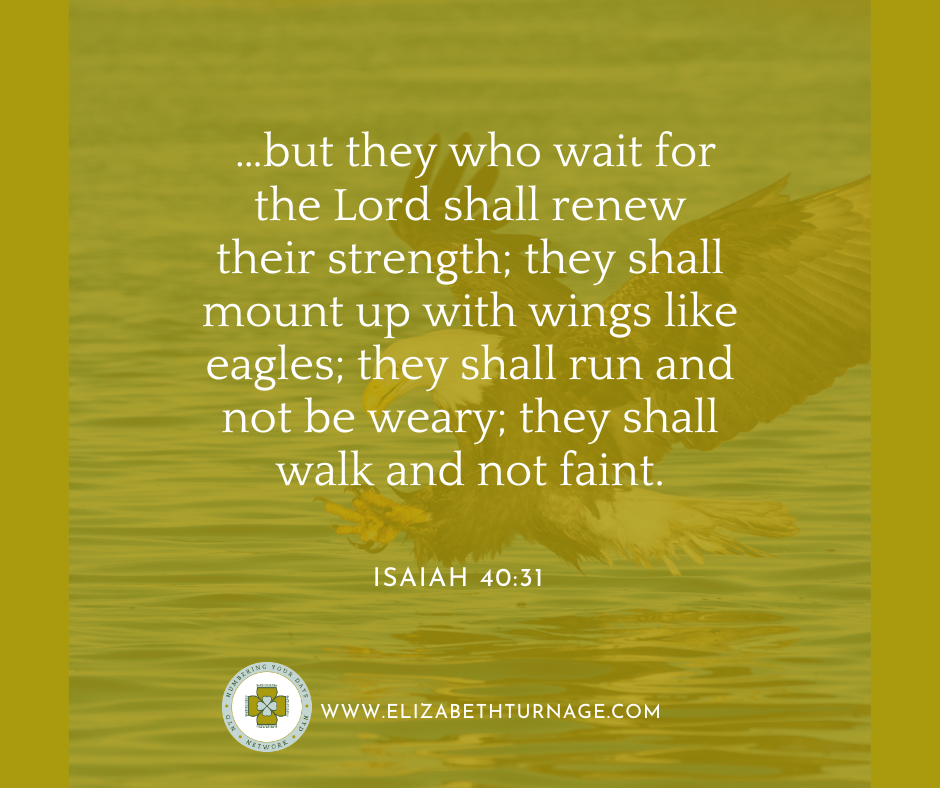 …but they who wait for the Lord shall renew their strength; they shall mount up with wings like eagles; they shall run and not be weary; they shall walk and not faint. Isaiah 40:31