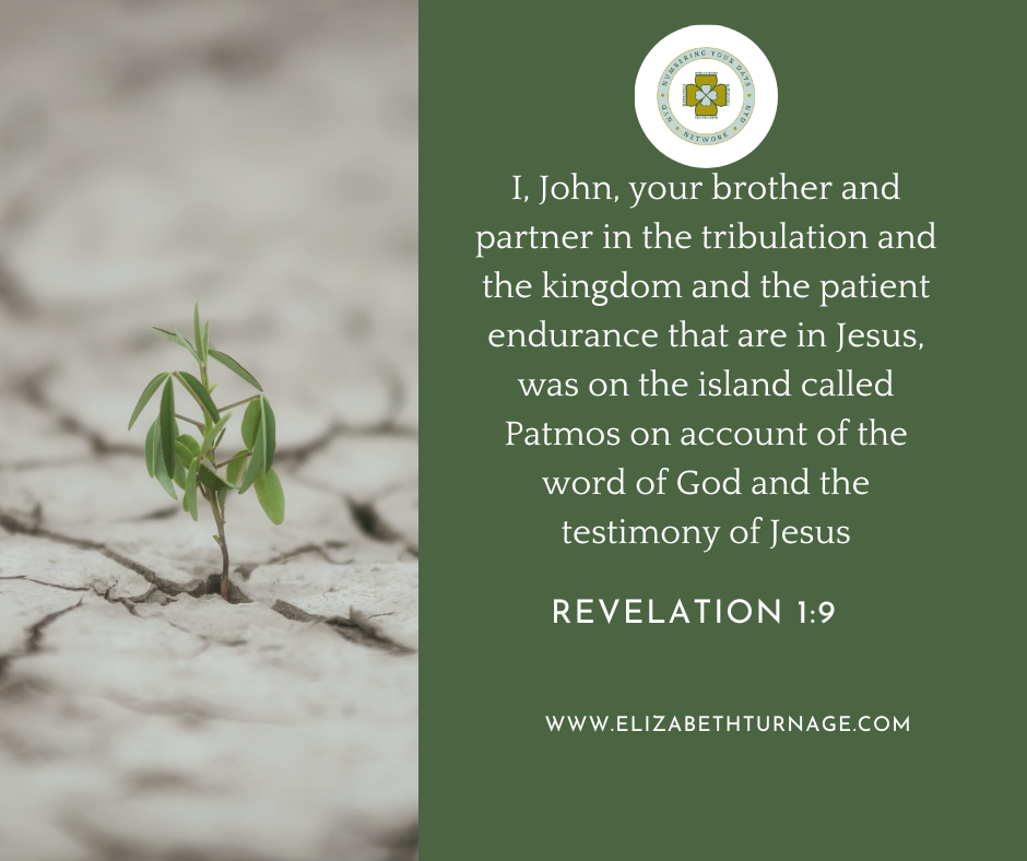 I, John, your brother and partner in the tribulation and the kingdom and the patient endurance that are in Jesus, was on the island called Patmos on account of the word of God and the testimony of Jesus. Revelation 1:9