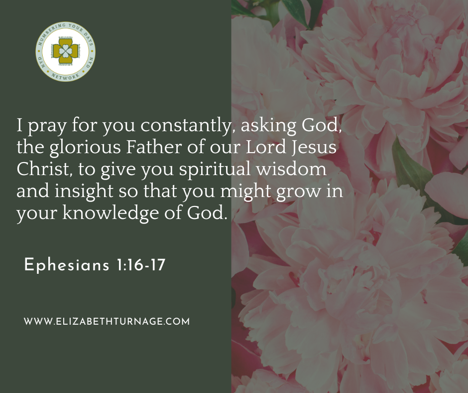 I pray for you constantly, asking God, the glorious Father of our Lord Jesus Christ, to give you spiritual wisdom and insight so that you might grow in your knowledge of God. Ephesians 1:16-17.