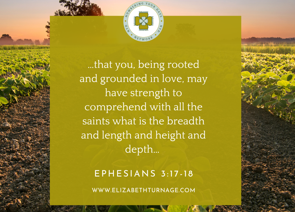 A Prayer about Being Rooted and Grounded in Love