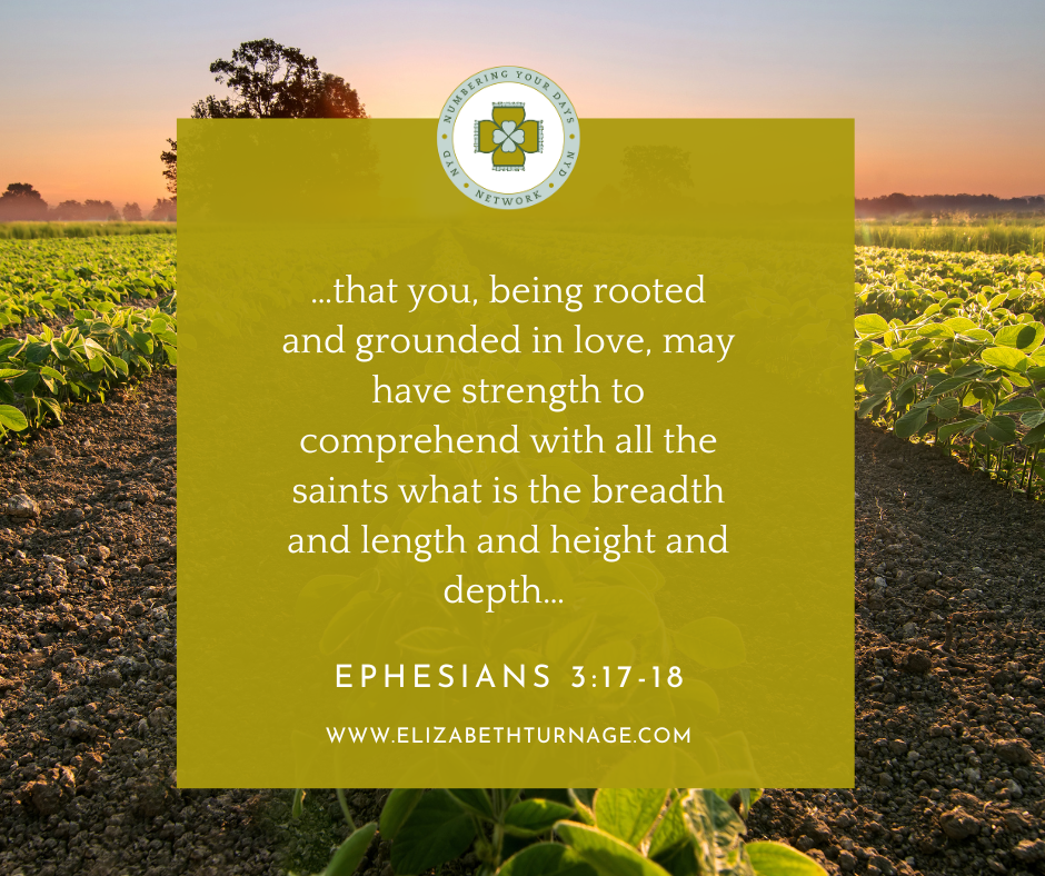 …that you, being rooted and grounded in love, may have strength to comprehend with all the saints what is the breadth and length and height and depth… Ephesians 3:17-18