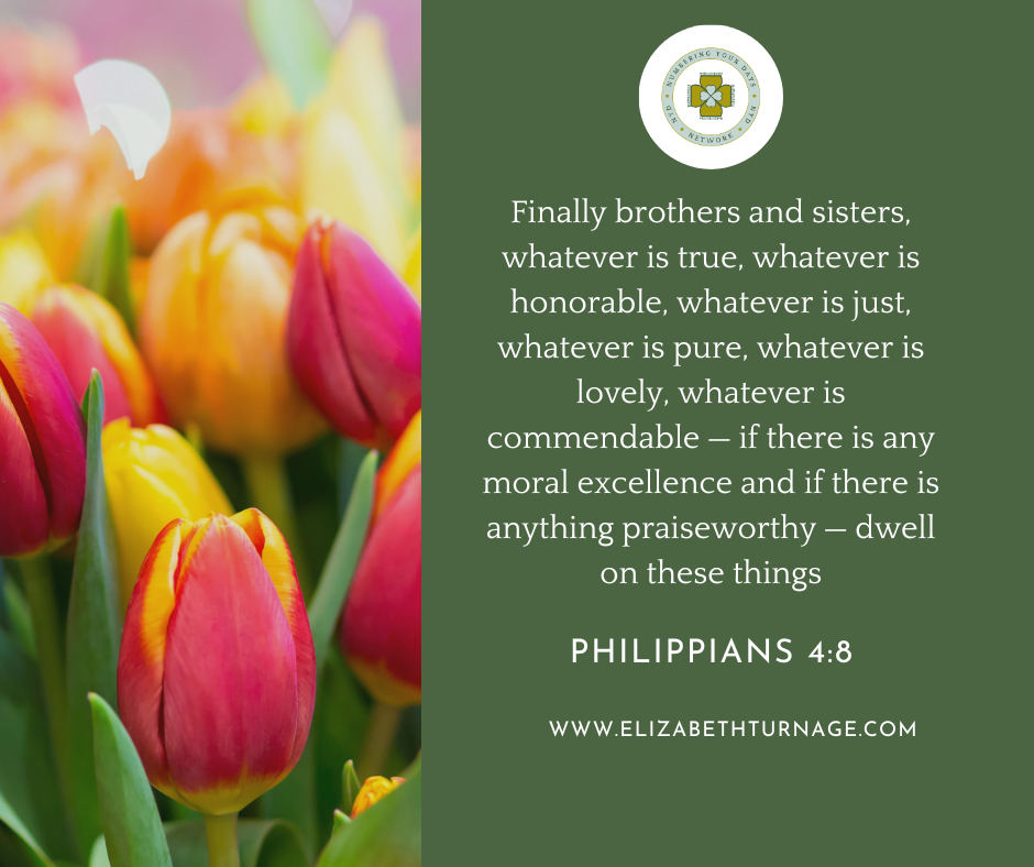 Finally brothers and sisters, whatever is true, whatever is honorable, whatever is just, whatever is pure, whatever is lovely, whatever is commendable — if there is any moral excellence and if there is anything praiseworthy — dwell on these things. Philippians 4:8