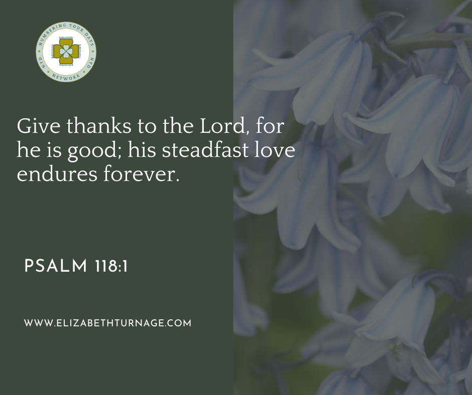 Give thanks to the Lord, for he is good; his steadfast love endures forever. Psalm 118:1