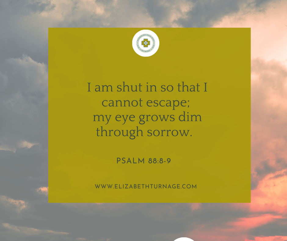 I am shut in so that I cannot escape; my eye grows dim through sorrow. Psalm 88:8-9