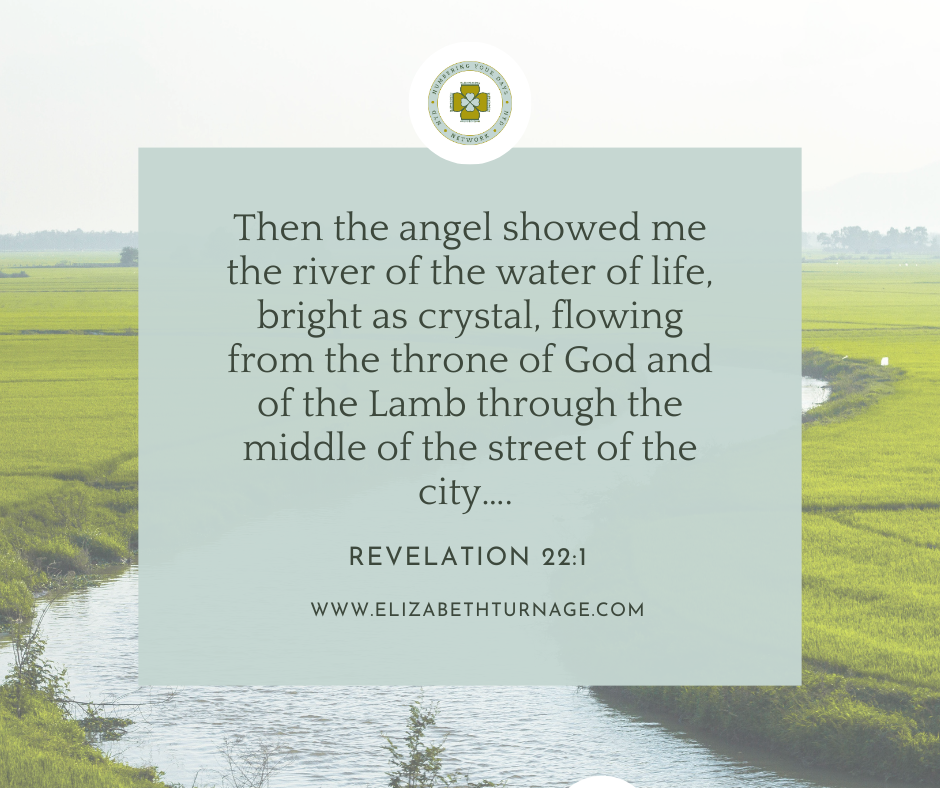 Then the angel showed me the river of the water of life, bright as crystal, flowing from the throne of God and of the Lamb through the middle of the street of the city…. Revelation 22:1