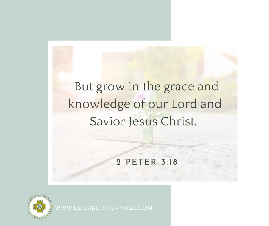 But grow in the grace and knowledge of our Lord and Savior Jesus Christ. 2 Peter 3:18