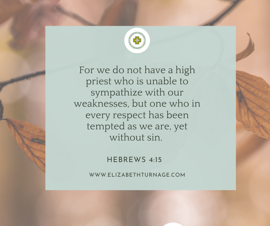 For we do not have a high priest who is unable to sympathize with our weaknesses, but one who in every respect has been tempted as we are, yet without sin. Hebrews 4:15