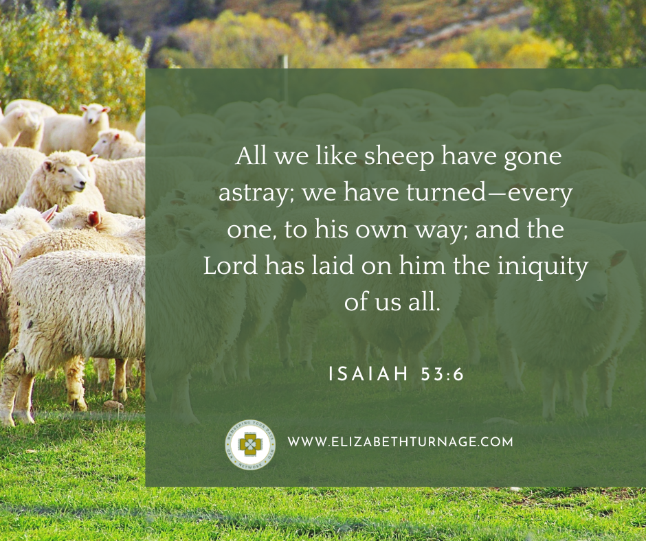 All we like sheep have gone astray; we have turned—every one, to his own way; and the Lord has laid on him the iniquity of us all. Isaiah 53:6