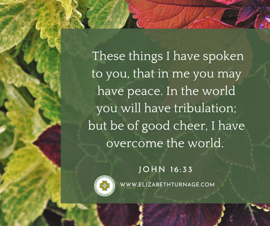 These things I have spoken to you, that in me you may have peace. In the world you will have tribulation; but be of good cheer, I have overcome the world. John 16:33.