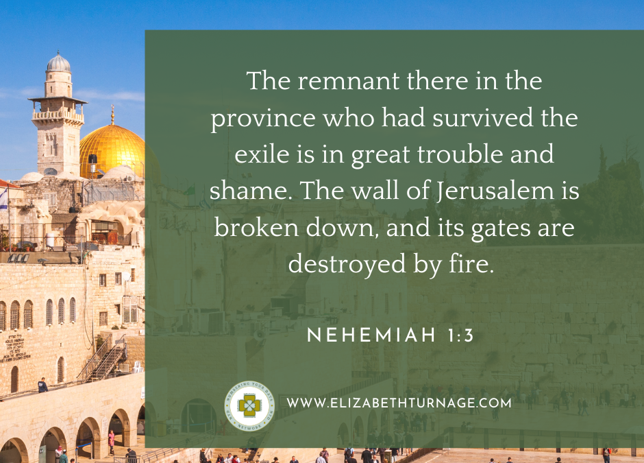 A Prayer about Great Trouble and Shame