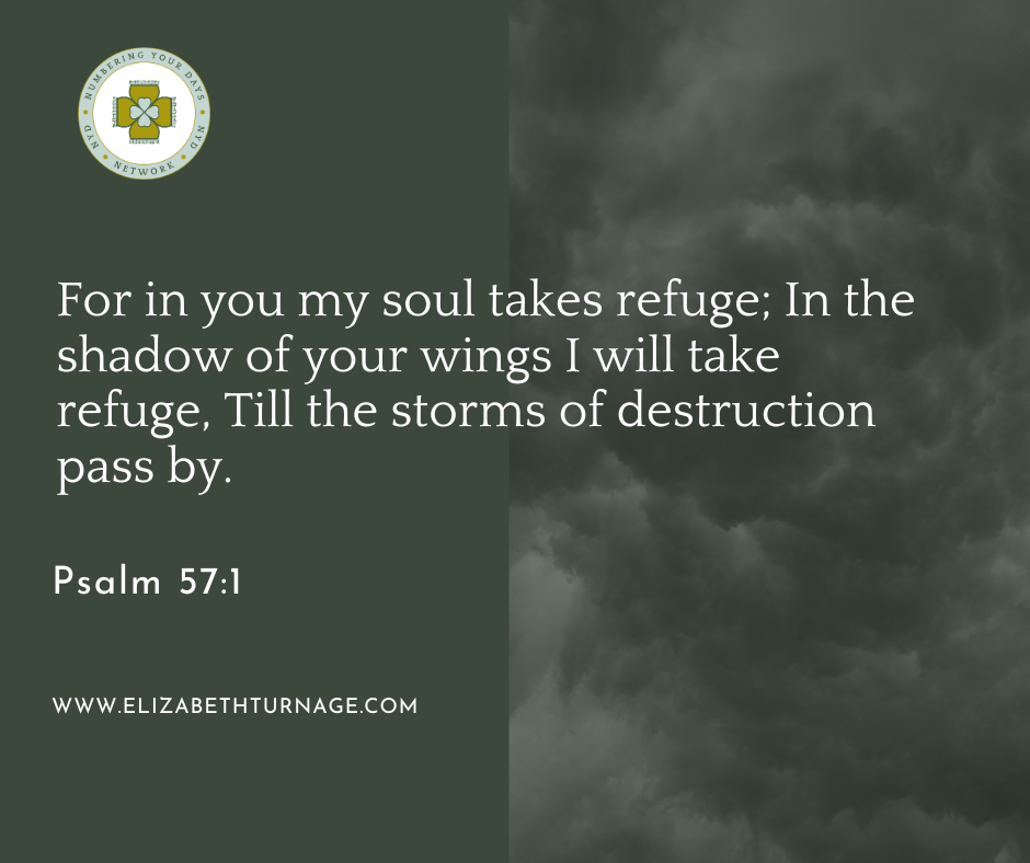 For in you my soul takes refuge; In the shadow of your wings I will take refuge, Till the storms of destruction pass by. Psalm 57:1