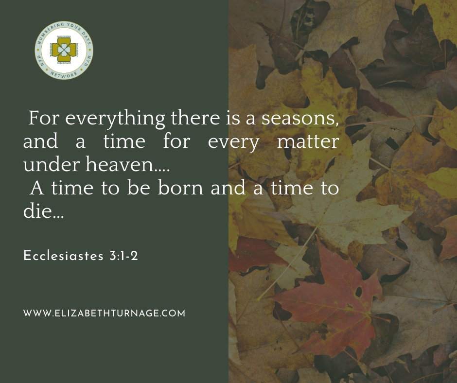 For everything there is a seasons, and a time for every matter under heaven…. A time to be born and a time to die…Ecclesiastes 3:1-2