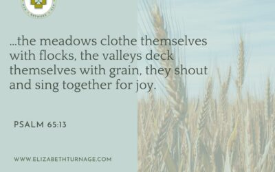 A Prayer about the Abundant Harvest to Come