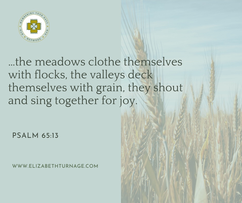 “…the meadows clothe themselves with flocks, the valleys deck themselves with grain, they shout and sing together for joy.” Psalm 65:13