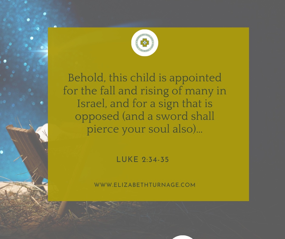 Behold, this child is appointed for the fall and rising of many in Israel, and for a sign that is opposed (and a sword shall pierce your soul also)…Luke 2:34-35