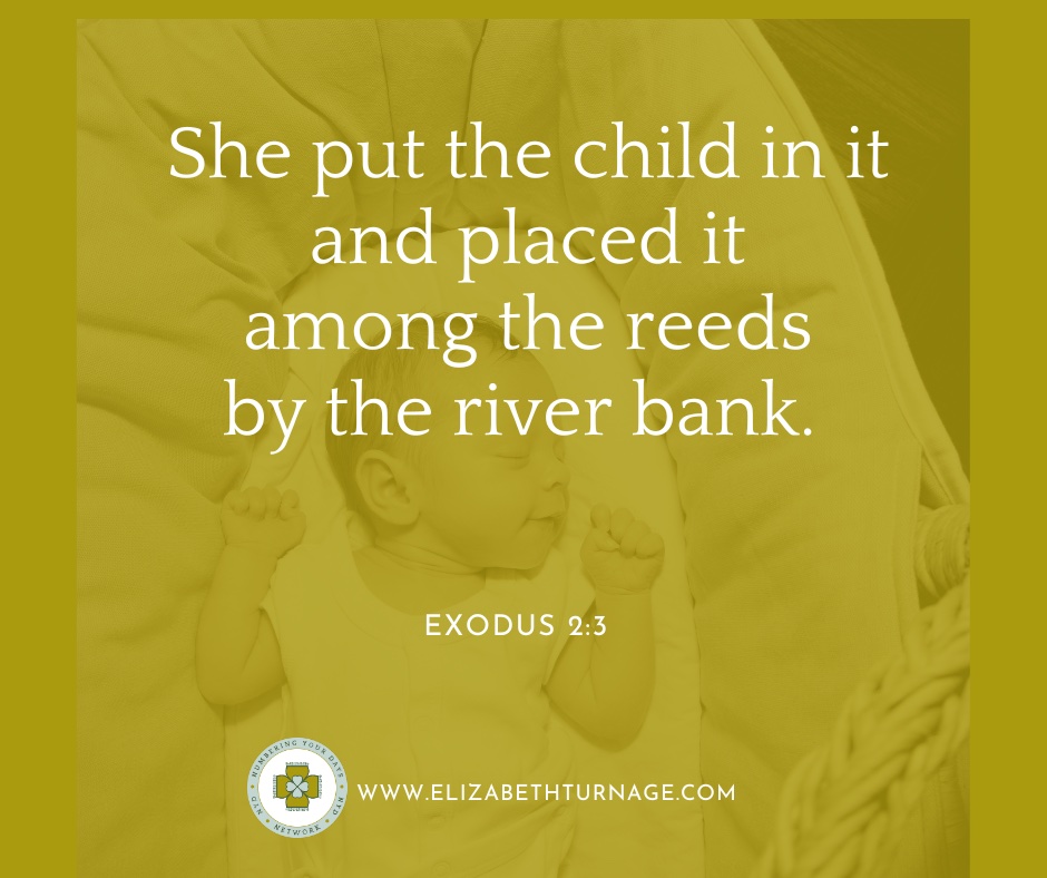 She put the child in it and placed it among the reeds by the river bank. Exodus 2:3b