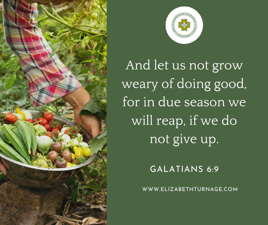 And let us not grow weary of doing good, for in due season we will reap, if we do not give up. Galatians 6:9