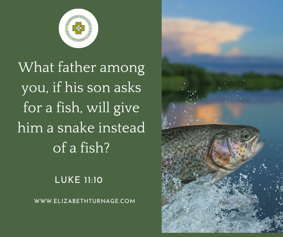 What father among you, if his son asks for a fish, will give him a snake instead of a fish? Luke 11:10