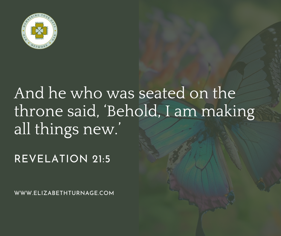 And he who was seated on the throne said, ‘Behold, I am making all things new.’ Revelation 21:5